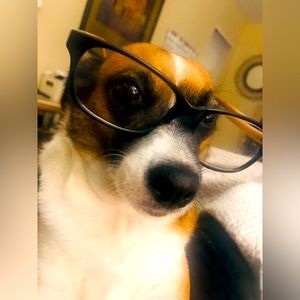 Meet your Posher, Sindy